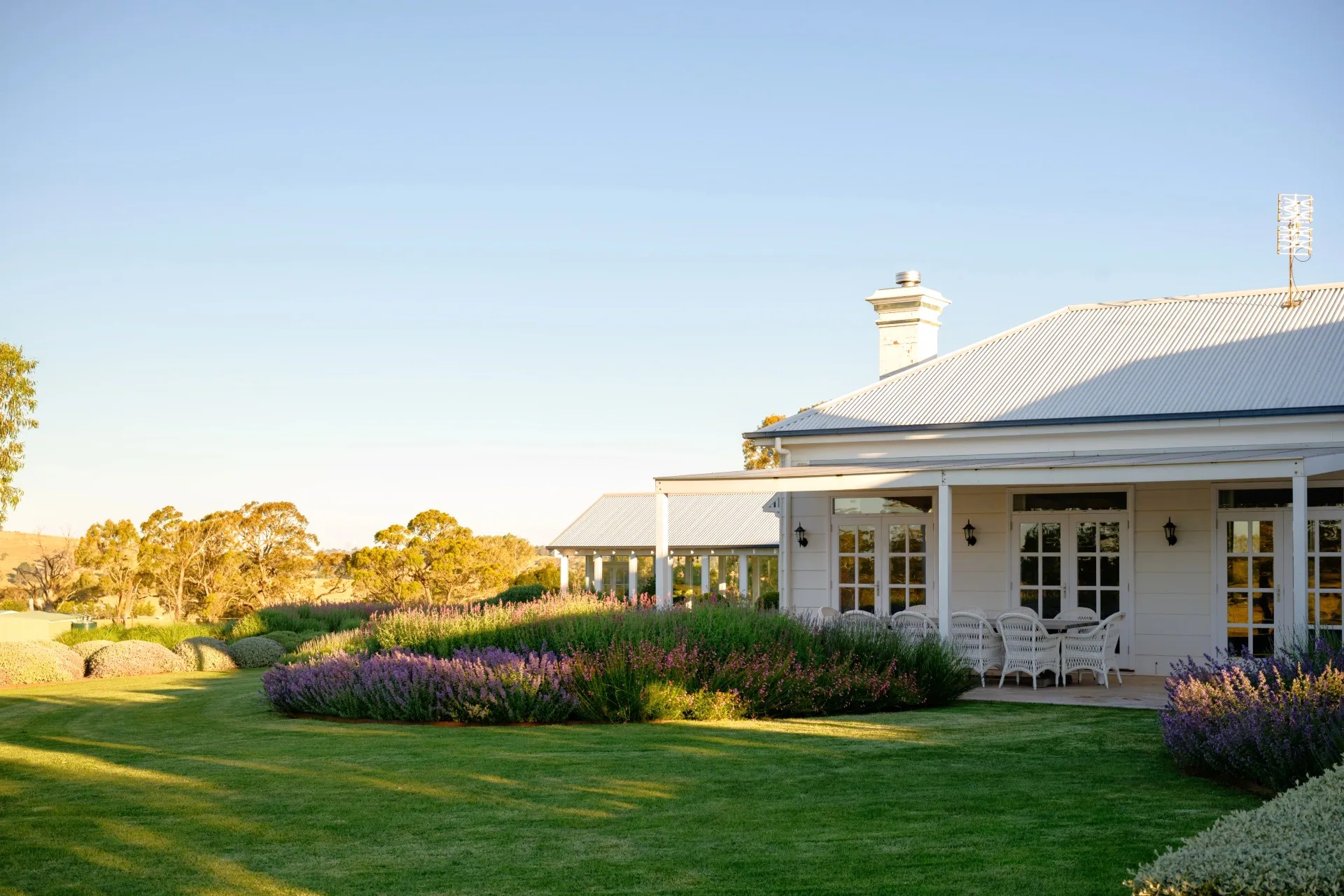 White house in country Australia with a veranda, alfresco dining area including white dining chairs, and a European-style garden in the foreground under a clear blue sky. Lavender and star jasmine are visible in the foreground.