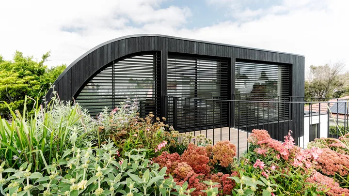 This tiny but curvy Melbourne garden takes its cues from France and New York