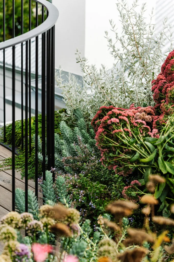 Lush garden with diverse greenery and pink flowers alongside a curved black metal railing.
