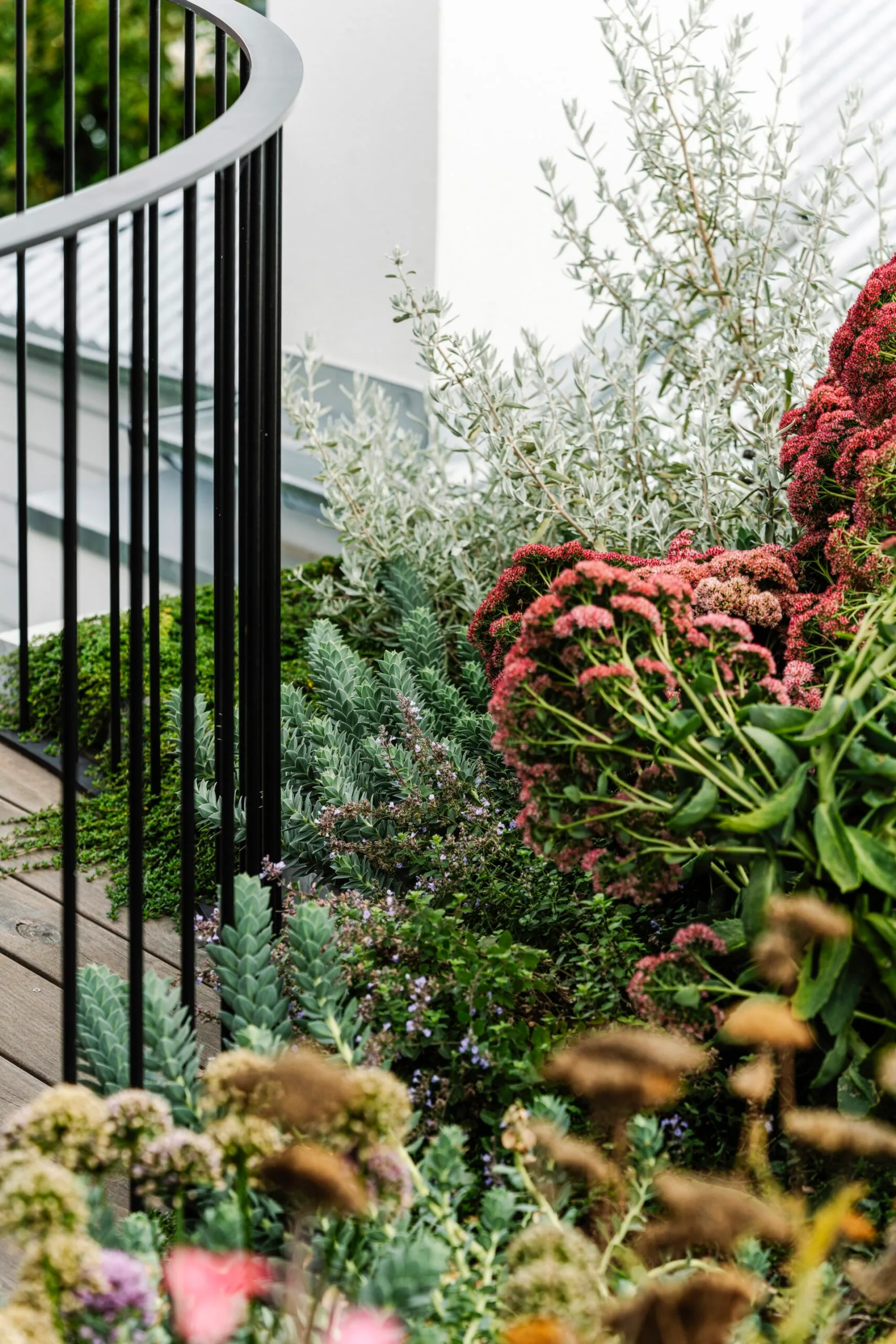 Lush garden with diverse greenery and pink flowers alongside a curved black metal railing.
