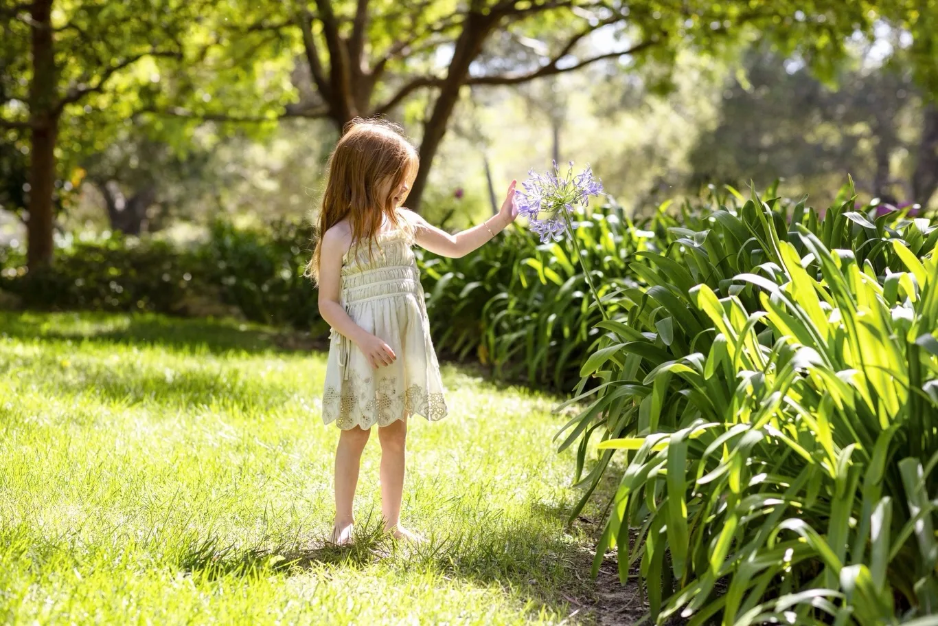 Princess Lilibet stands barefoot in a lush garden beside flowering purple agapanthus.