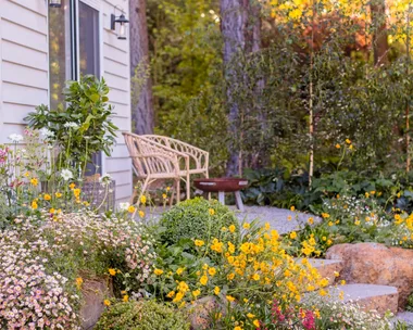 Sunny garden with colorful flowers near a house, featuring a wooden bench and lush greenery in a peaceful setting.
