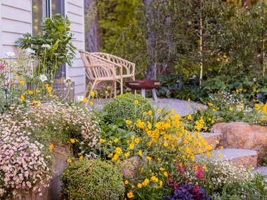Sunny garden with colorful flowers near a house, featuring a wooden bench and lush greenery in a peaceful setting.