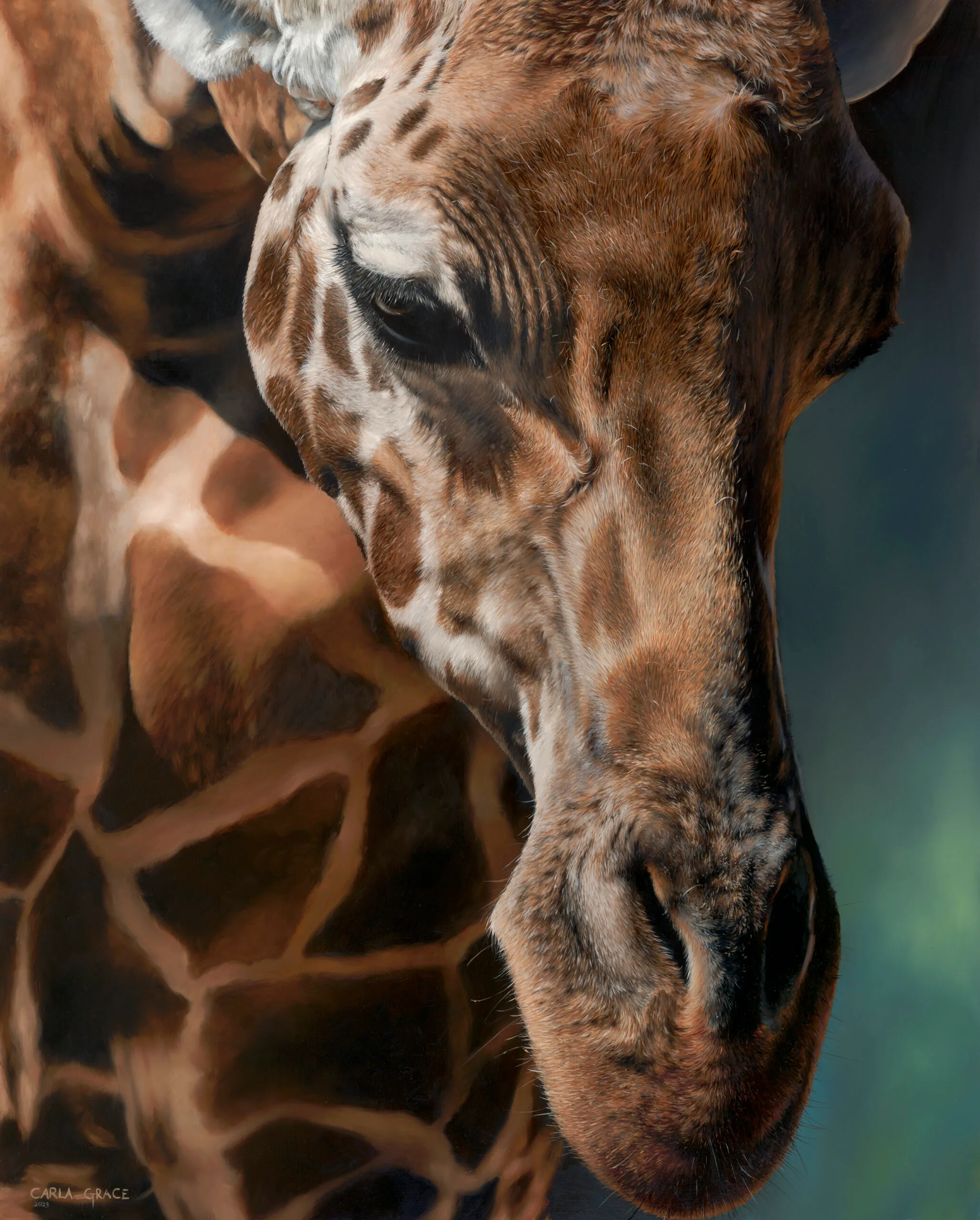 Close-up of a giraffe's face with detailed fur and patterns, against a blurred natural background.