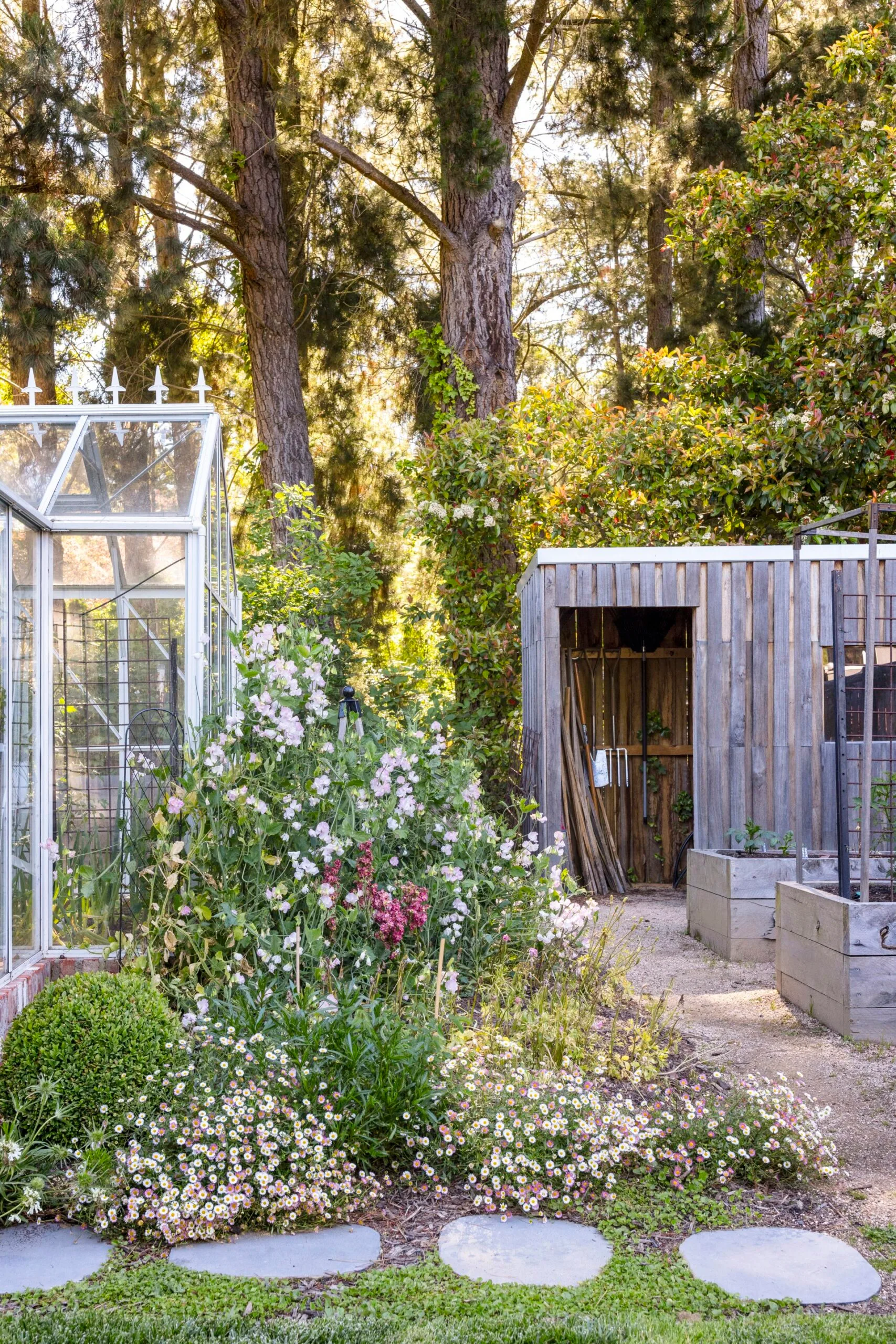 A garden with a white greenhouse, flowering plants, a wooden shed, and tall trees in the background.