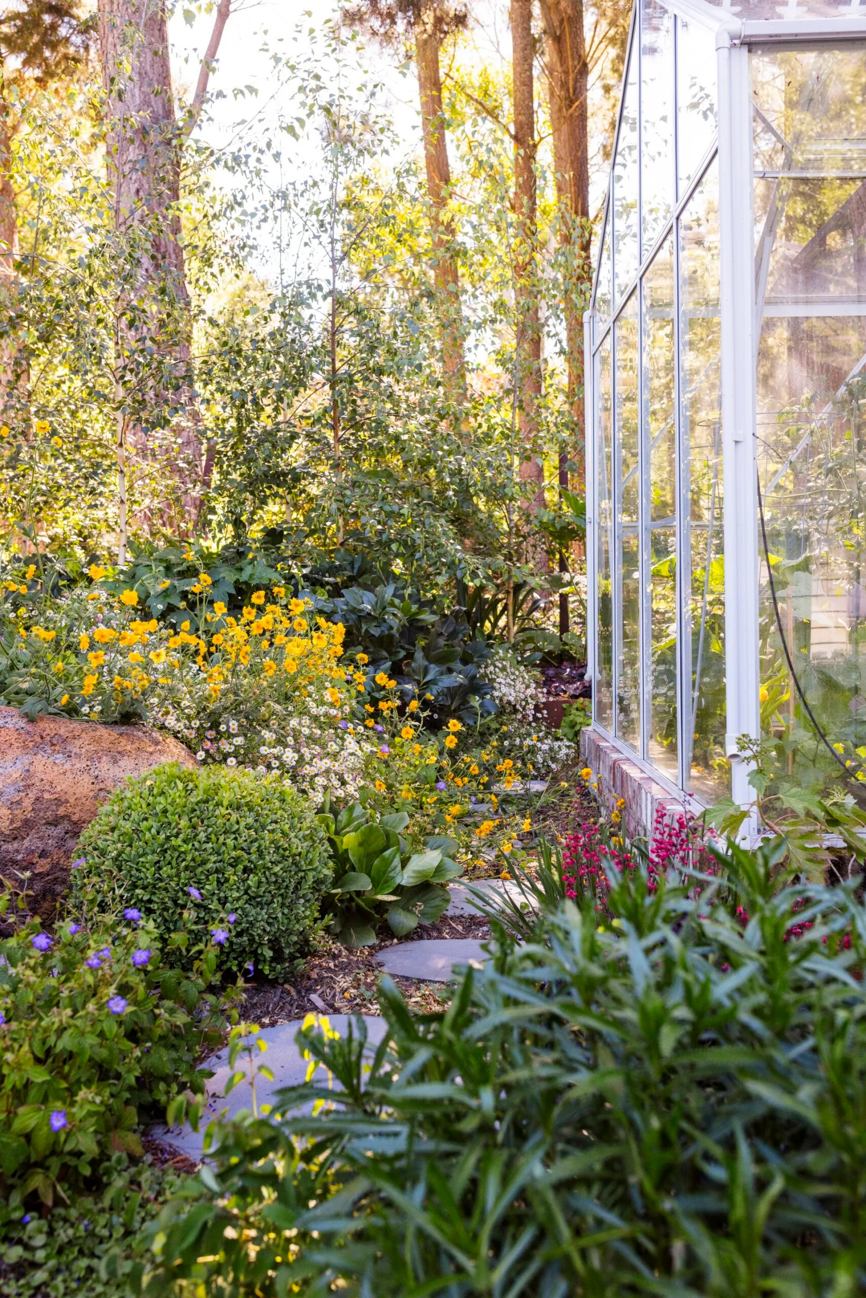 Glass greenhouse in a lush garden with yellow flowers, green shrubs, and trees in the background.
