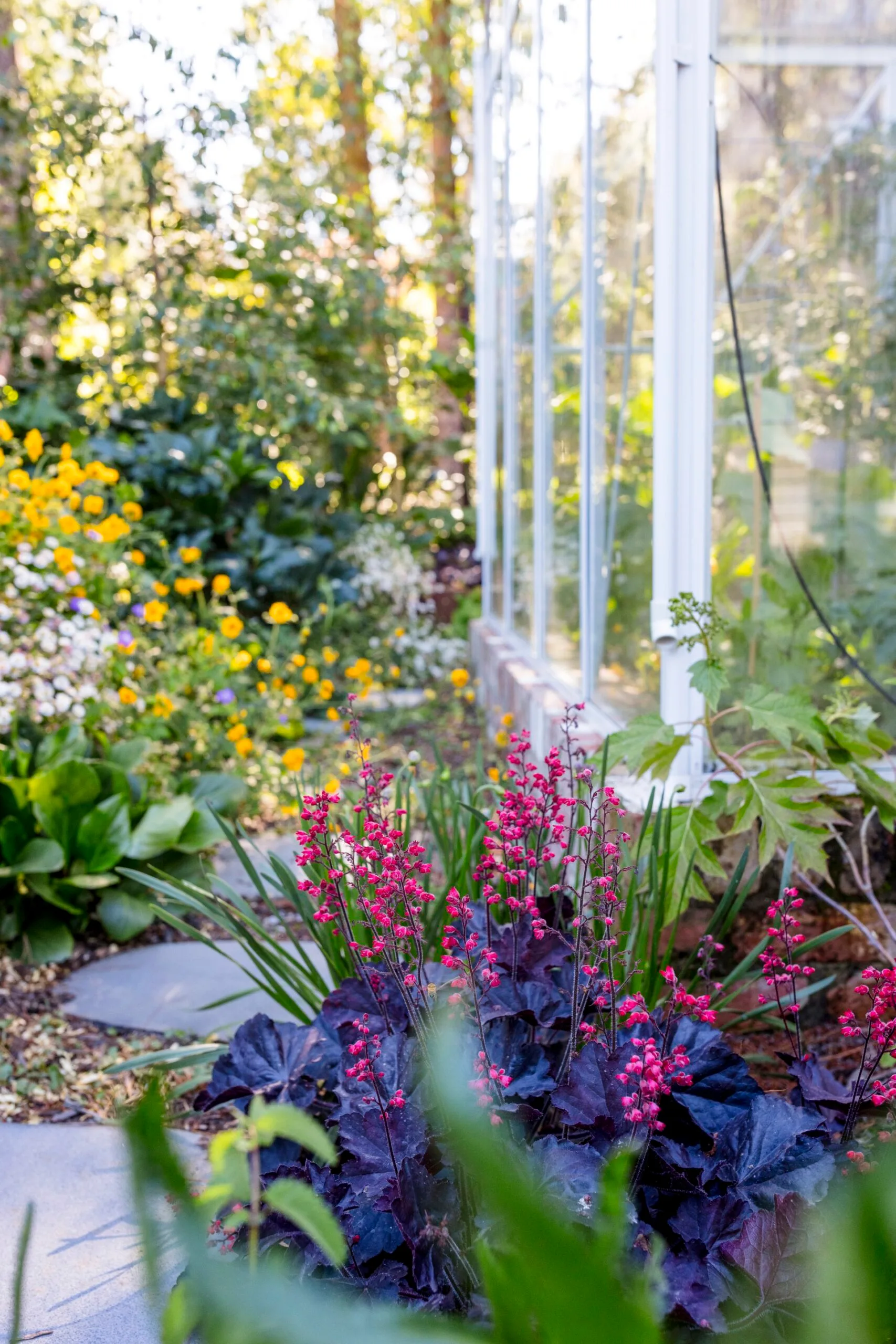 Lush garden with yellow and pink flowers beside a glass greenhouse.