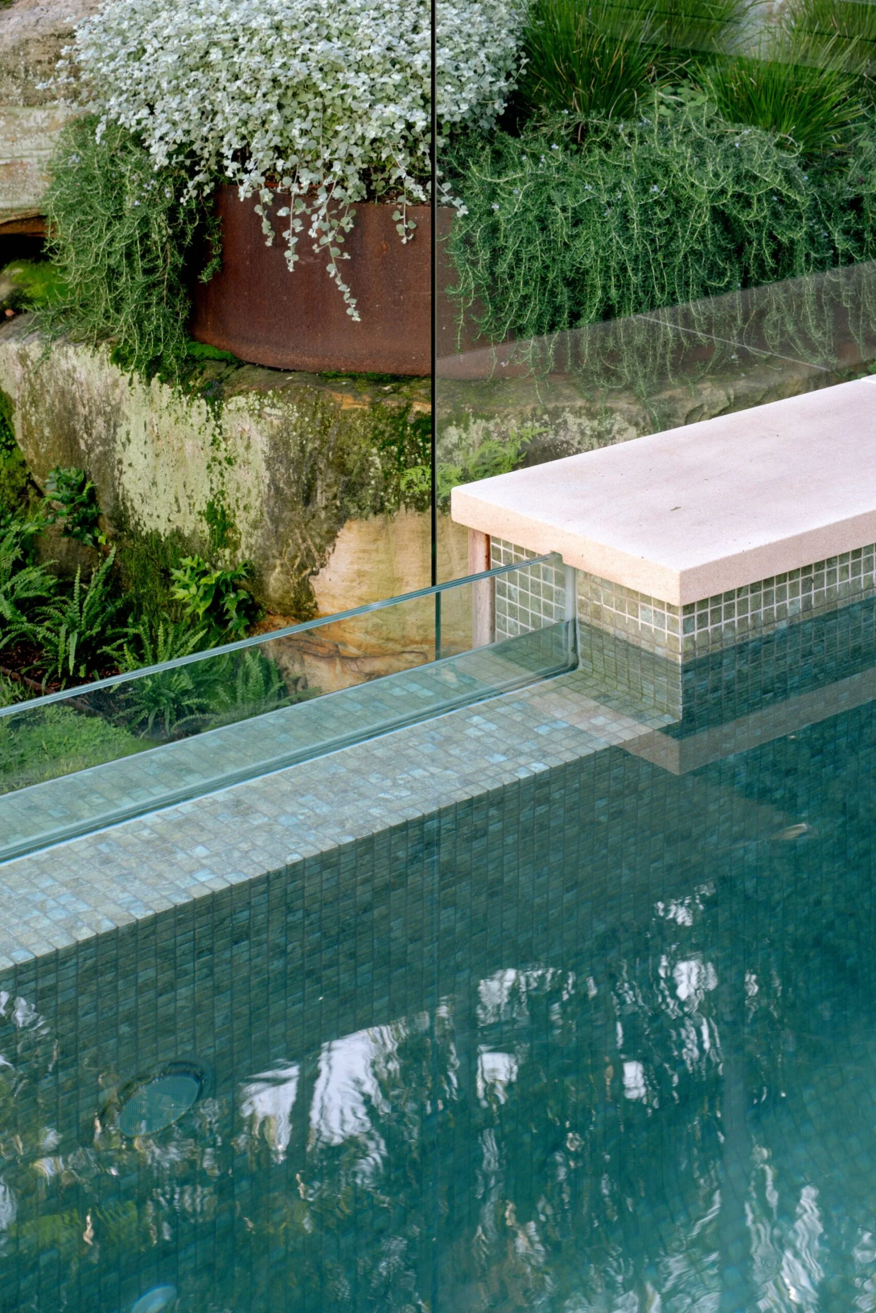 Pool with a glass fence, plants in the background, and a stone-paved edge.