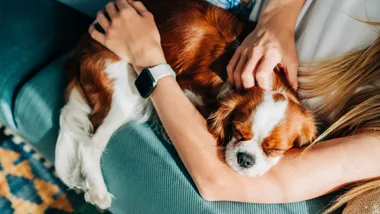 Save with a tested Pet Circle discount code or offer, selected and verified by Home Beautiful.