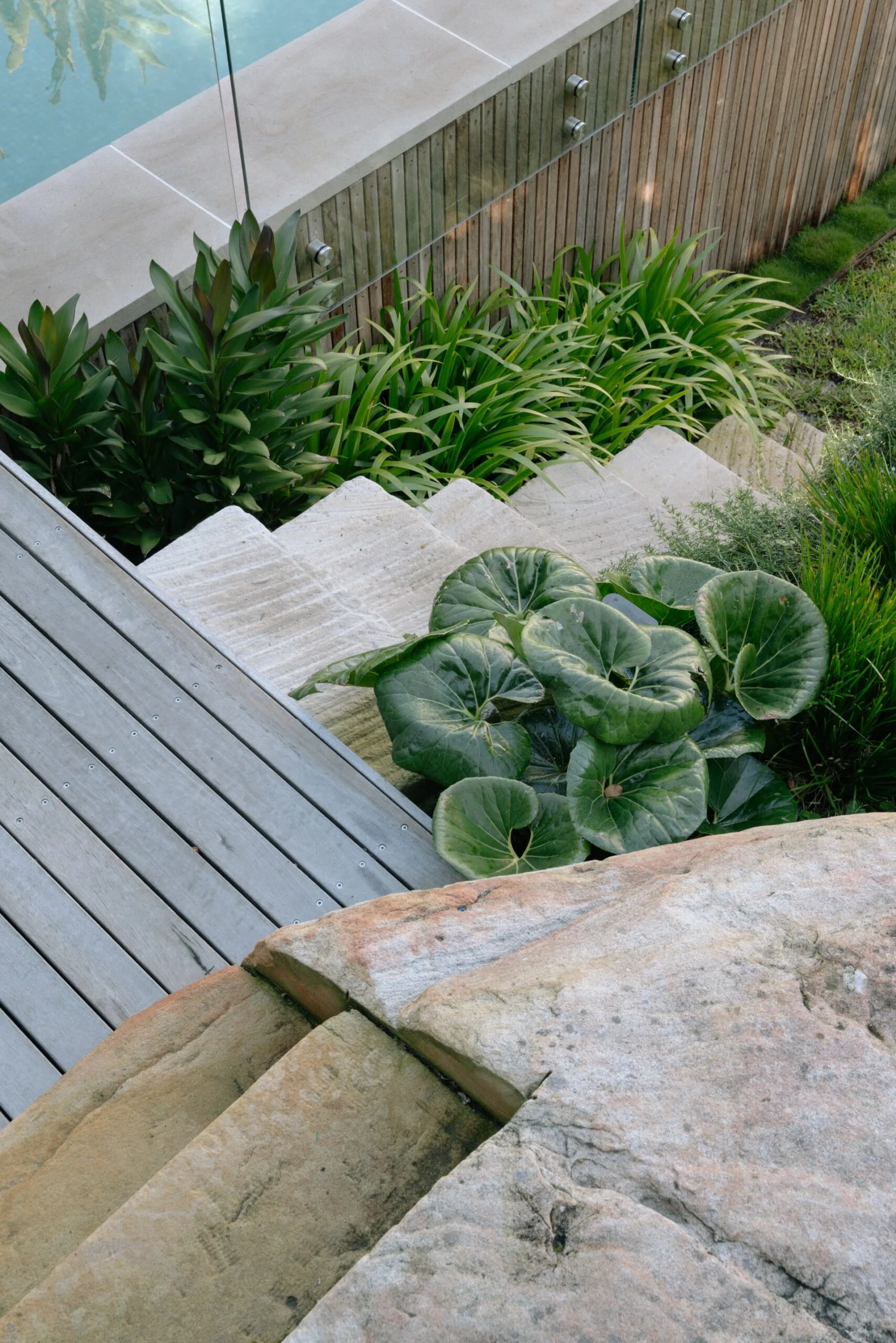 Staircase with lush greenery, wooden deck, and stone wall beside a clear pool with glass railing.