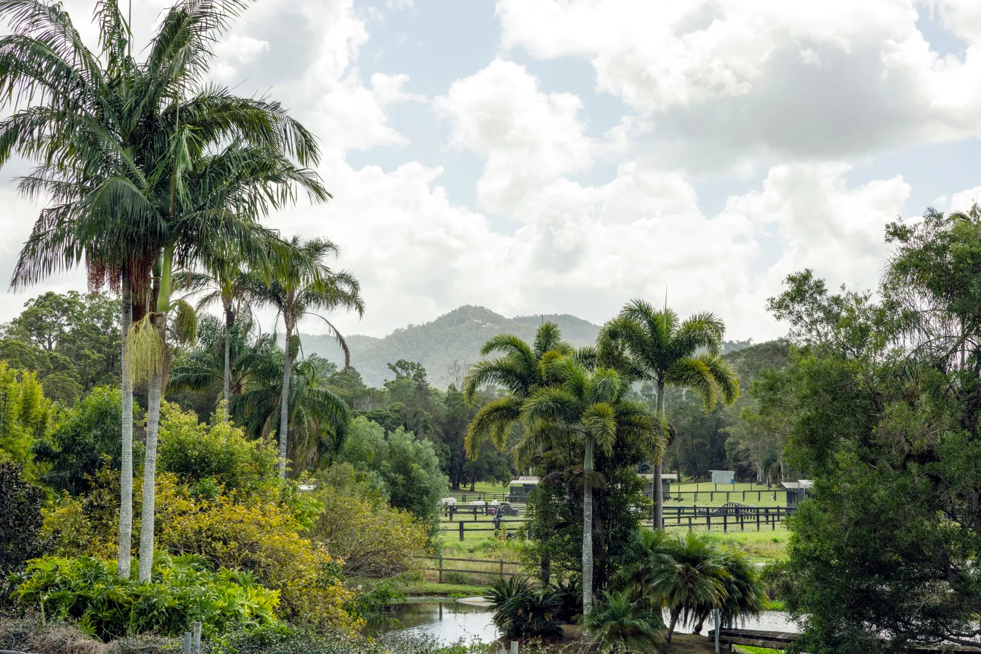 Location shot of Jesinta Franklin's Walawuru property lake and stables