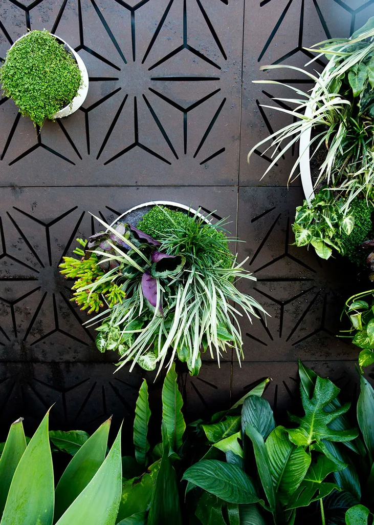 Vertical garden at Sydney Garden Show