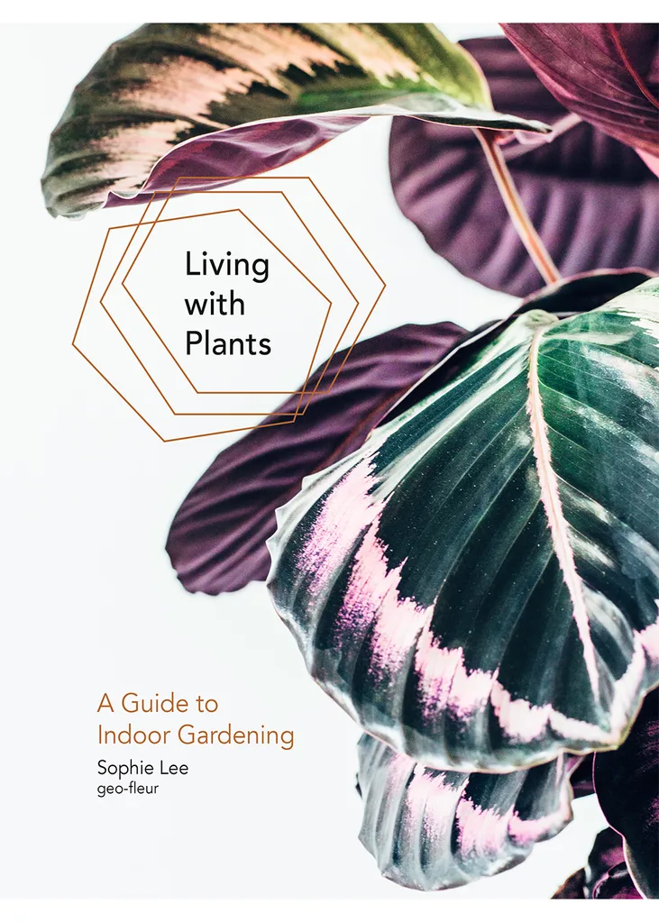 Living with Plants by Sophie Lee front cover