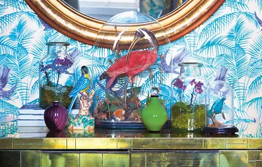 How to make an orchid terrarium