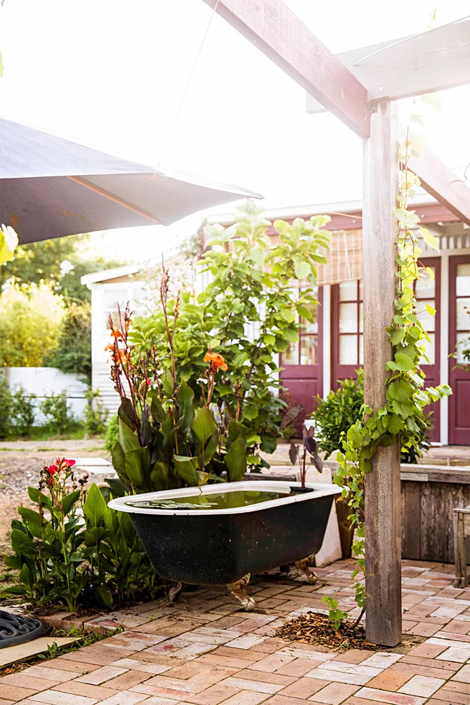 Old bathtub pond