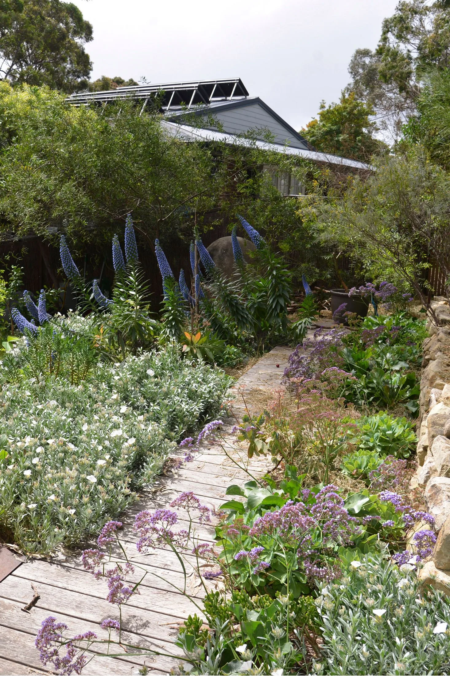 Landscape architecture using Australian materials