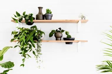 Give your indoor plants a stylish DIY makeover