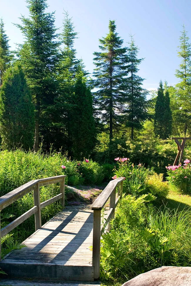 Timber bridge in garden