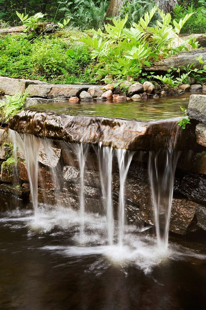 Water feature in garden