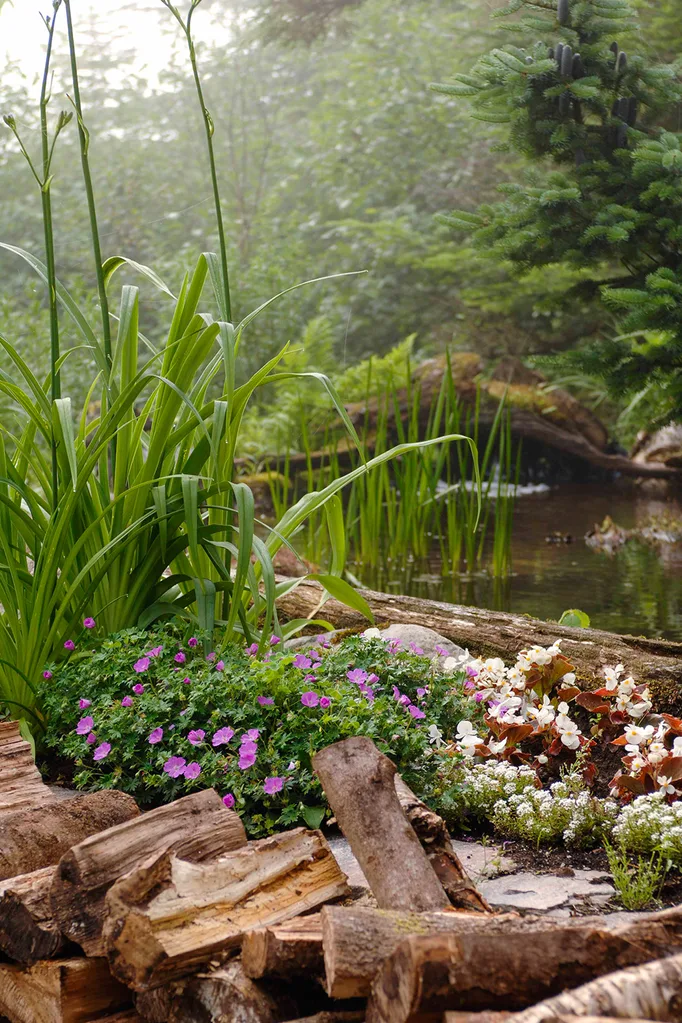 Winter garden