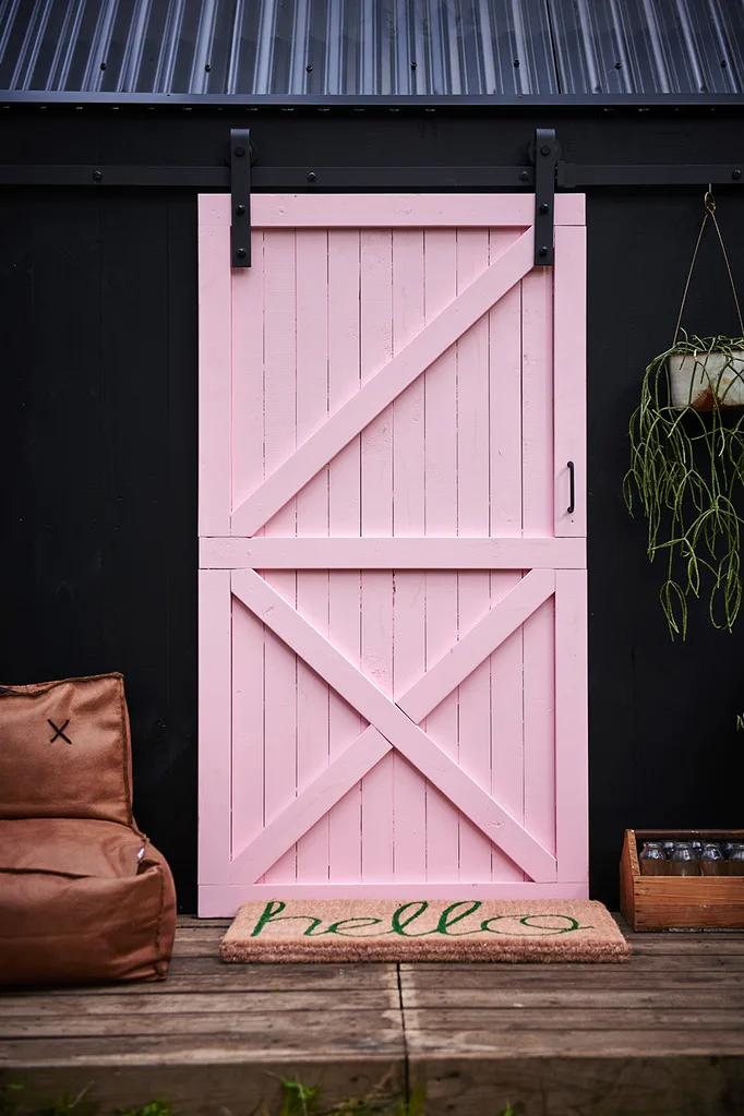 Pink barn door