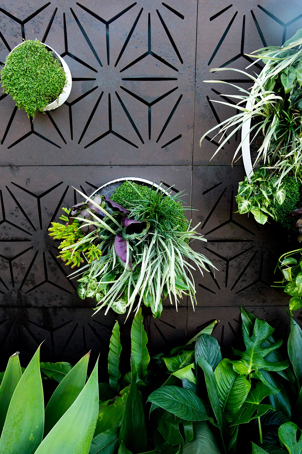 Small garden | Home Beautiful