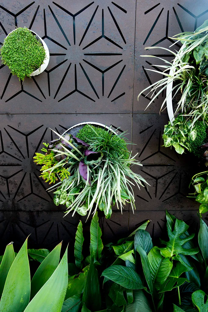 Small garden | Home Beautiful