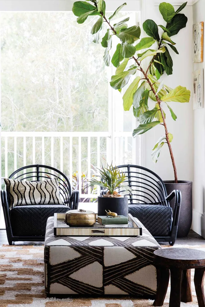 2018 Trend Forecast: Urban Safari
