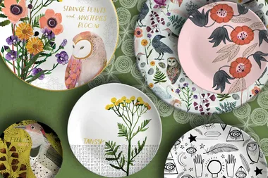 100 days of plates