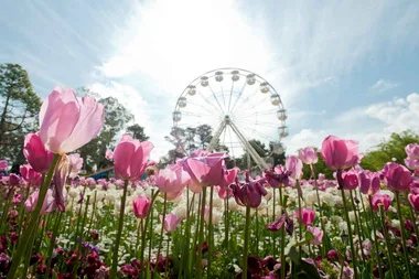 Floriade opens its gates this weekend