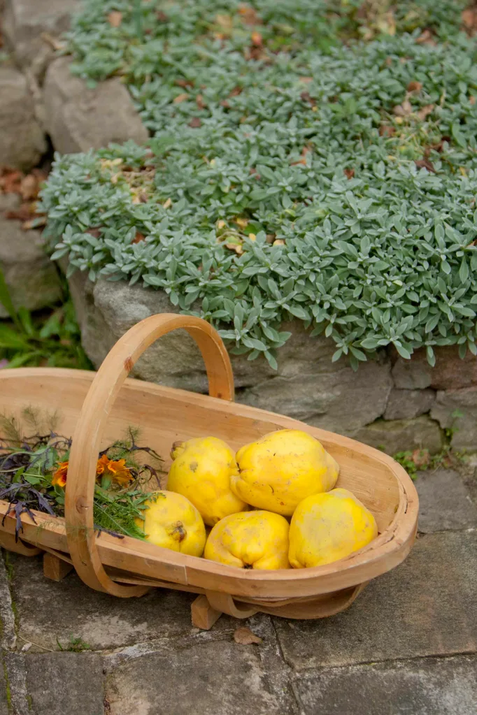 How to make your own compost