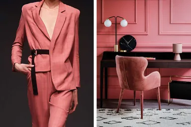 If you hated Pantone’s colour of the year Marsala, you’ll love it with this new pink