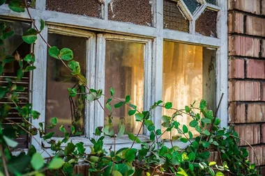 13-year-old boy builds tiny home in his backyard