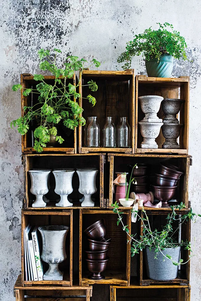 Cara Fitch of Trille Floral | Home Beautiful Magazine Australia