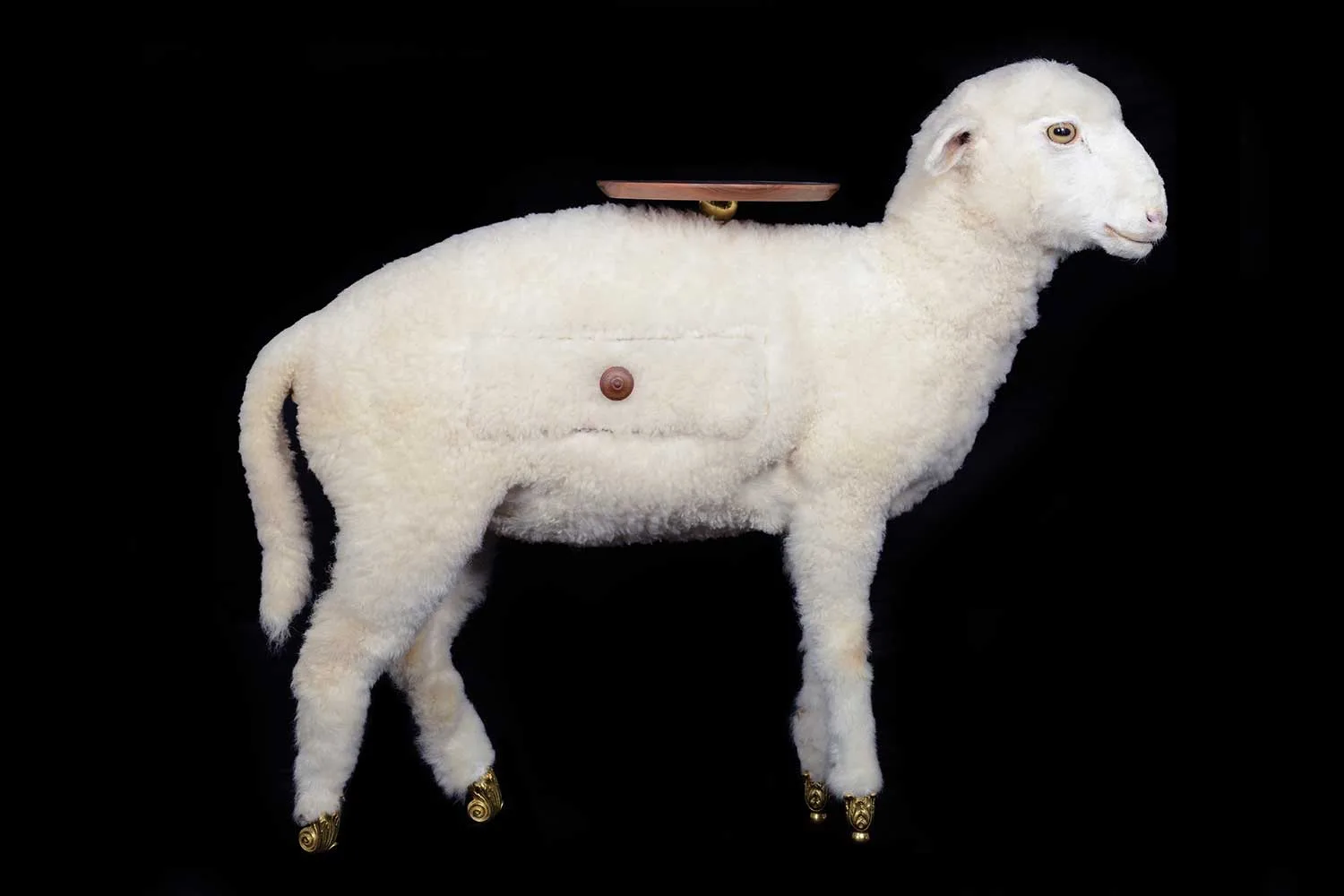 A curious take on living room storage style