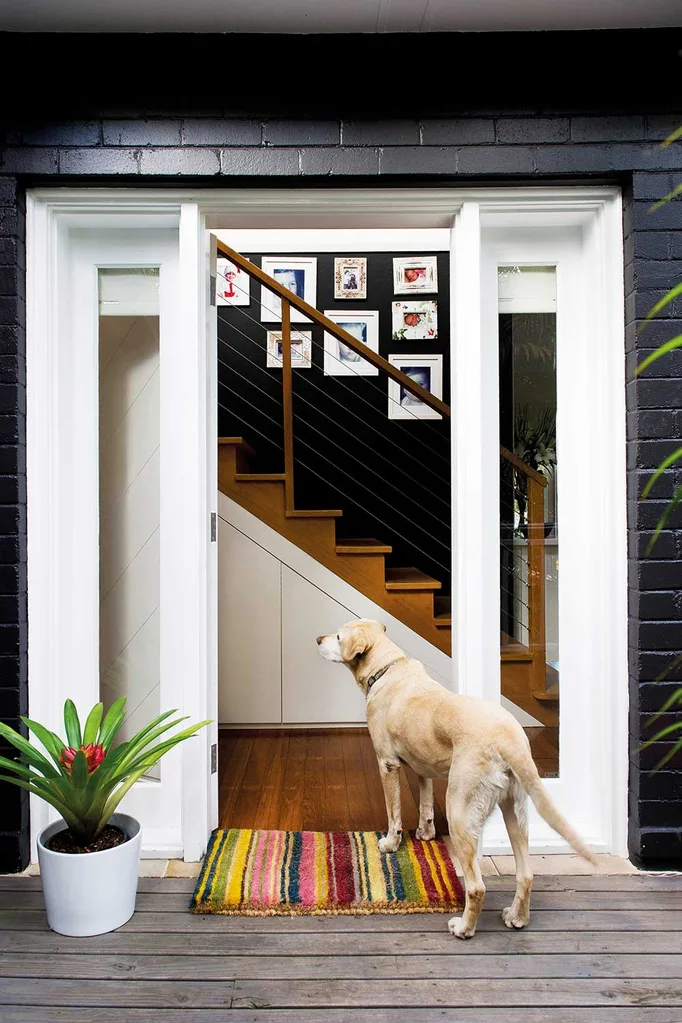 Posh pets | Home Beautiful Magazine Australia
