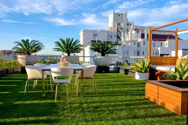 A rooftop garden transformation