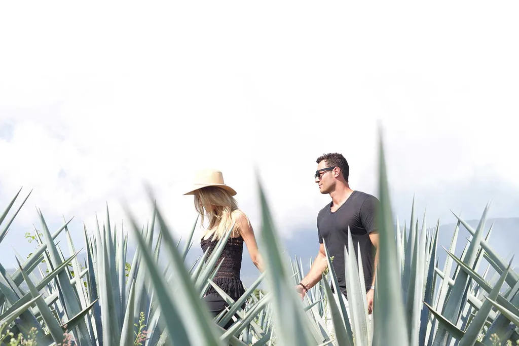 Jennifer Hawkins new popup bar | Home Beautiful Magazine Australia
