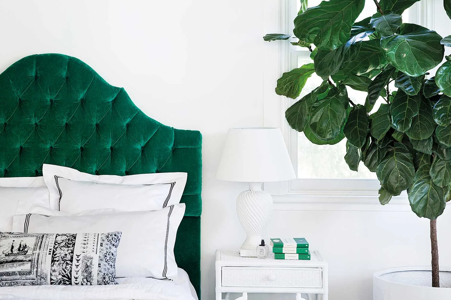 Fiddle leaf fig care: tips for your fiddle leaf fig