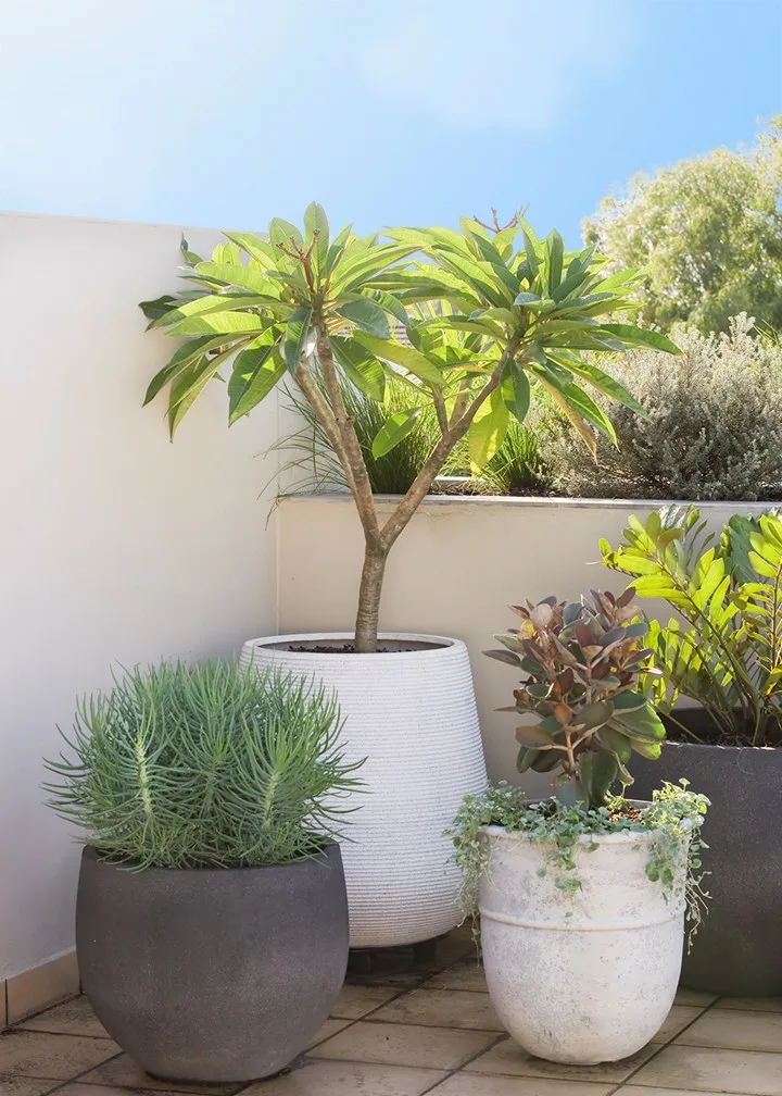 Balcony style - before and after makeover