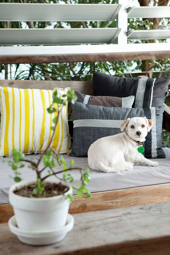 Pets aid mental health | Home Beautiful Magazine Australia