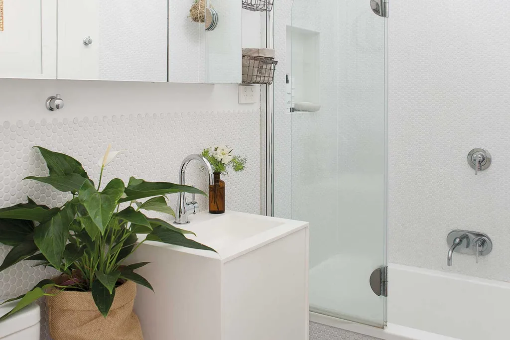 The best plant for your bathroom | Home Beautiful Magazine Australia