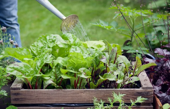 Create a crate garden