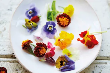 How to decorate your food with edible flowers