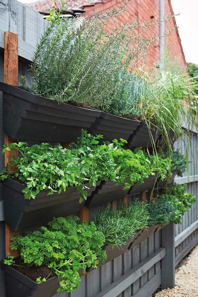 Grown your own herb garden | Home Beautiful Magazine Australia