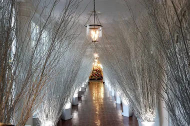 Melania Trump has unveiled the OTT White House Christmas decorations