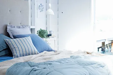 The houseplant that could stop you from snoring