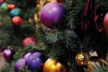 The Queen unveils her Christmas decorations at Buckingham Palace