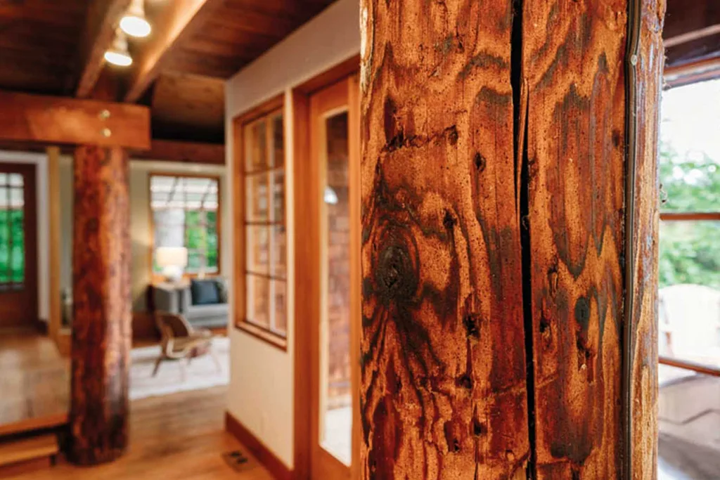 This amazing luxury treehouse just won home of the year! | Home Beautiful Magazine Australia