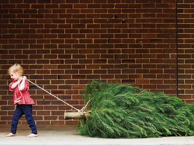 When should you take down your Christmas tree?